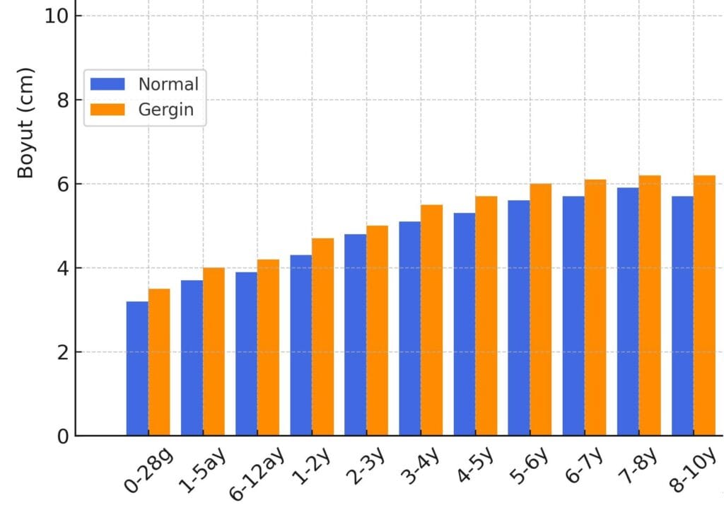 1. Grafik: Yaşa göre pipi boyu (cm) gelişimi (3)